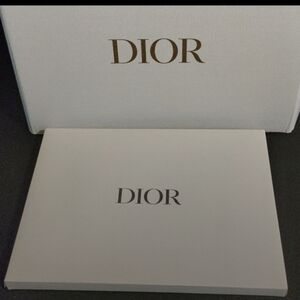 Dior Cream Color Cosmetic/Travel Bag NIB